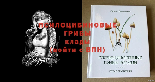 индика Новокубанск