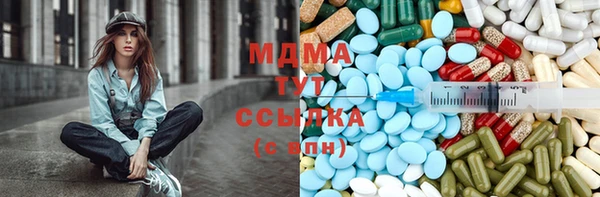 прущие грибы Новодвинск