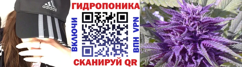 Купить закладки  Бутурлиновка  Канабис OG Kush 